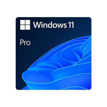 Windows 11 Professional